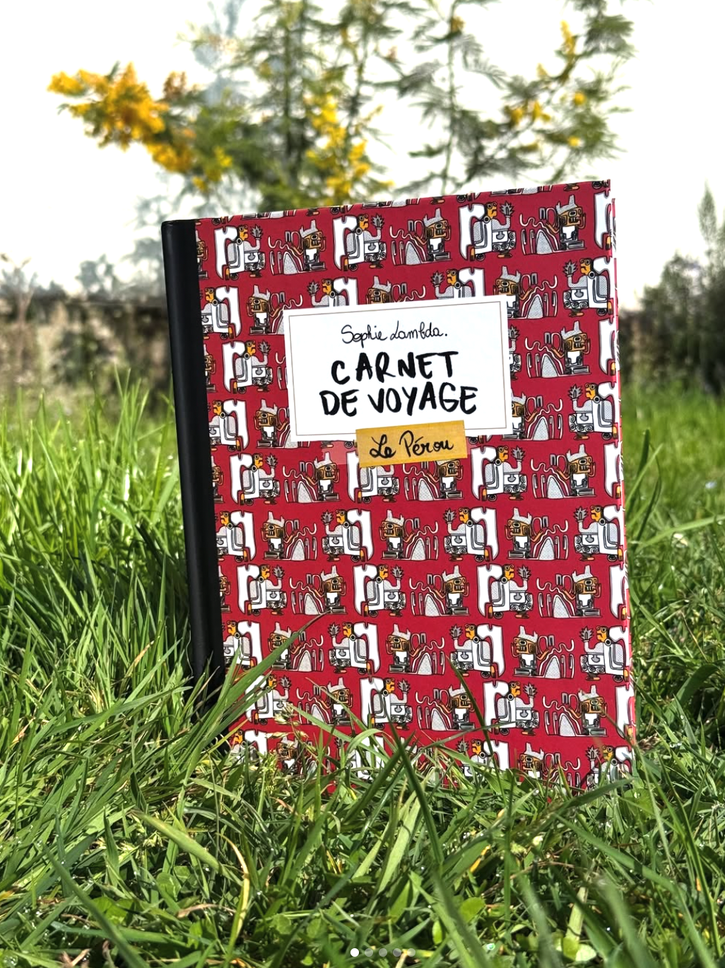 Carnet du Pérou
